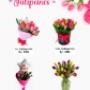 TULIPANES