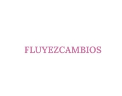 FluyezCambios (Agencia SEO)