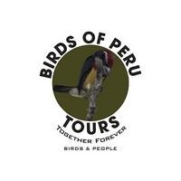 Birds of Peru Tours