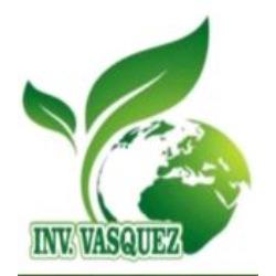 INVERSIONES VASQUEZ- Venta al por mayor de frutas y verduras