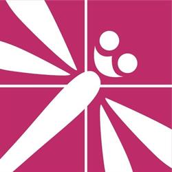 Dragonfly Hostels Cusco