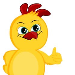 SR. POLLITO