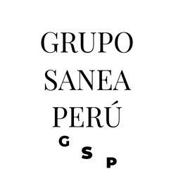 GRUPO SANEA PERU S.A.C.