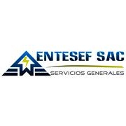Entesef