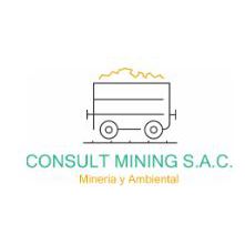 CONSULT MINING S.A.C.
