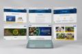 Desarrollo-Web