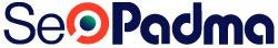 Agencia SEO Padma