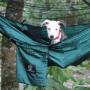 Hamaca Mosquitero Lupuna Outdoors Petfriendly