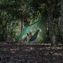 Pack Hamaca con Mosquitero y Tarp