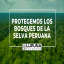 Lupuna Outdoors Catálogo
