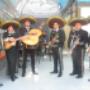 Mariachis El Rey