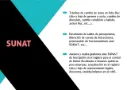 TRAMITES SUNAT
