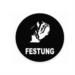 Festung - Empresa de Seguridad y Vigilancia