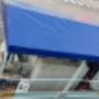 toldo