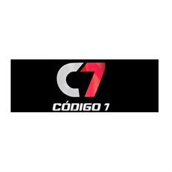 CÓDIGO 7 SECURITY S.A.C.