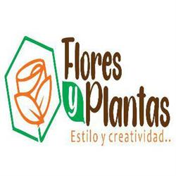 Flores & Plantas