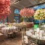 Arriendo de equipos para eventos y servicio de buffet