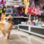 petshop