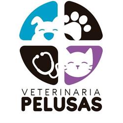 Veterinaria pelusas
