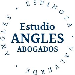 Estudio Angles Abogados