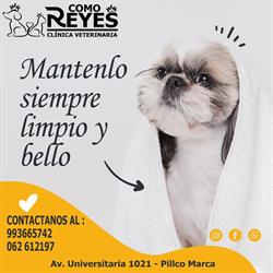 Clínica Veterinaria COMO REYES Huánuco
