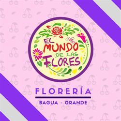 Florería "El Mundo de las Flores - Bagua Grande"
