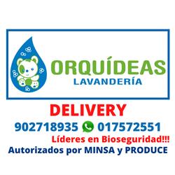 Orquídeas Lavanderia San Borja