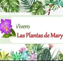 Vivero Las Plantas de Mary