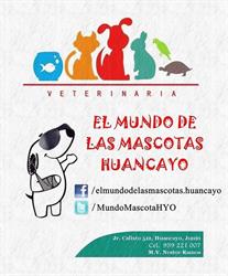 Mundo De Las Mascotas