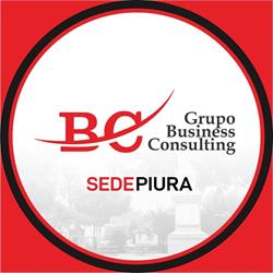 Business Consulting