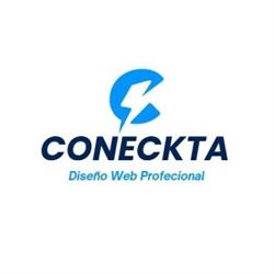 CONECKTA PERÚ DISEÑO DE PAGINAS WEB