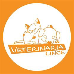 Veterinaria Lince