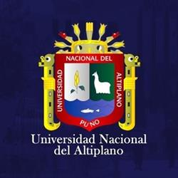 Universidad Nacional del Altiplano Puno
