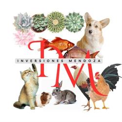 Agropecuaria & Petshop Inversiones Mendoza