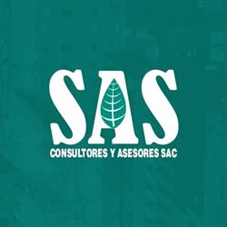 SAS Consultores y Asesores SAC