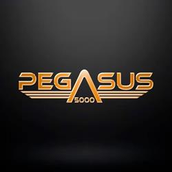 Corporación Pegasus 5000 S.A.C