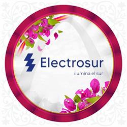 EMP.REG.SERV.PUB.ELECT.ELECTROSUR S.A