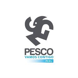 Contenedores Pesco Perú