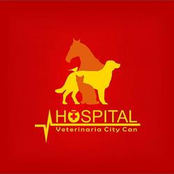 City CAN - Hospital Veterinario y Spa/Tacna.