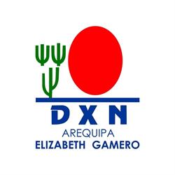 DXN Arequipa Elizabeth Gamero