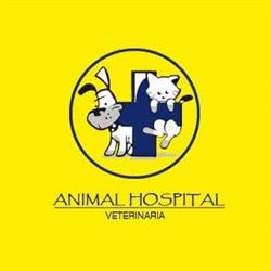 Veterinaria Animal Hospital