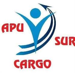 Transporte APUSUR Cargo