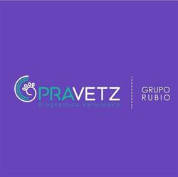 Grupo Rubio - Ecografía Veterinaria Especializada