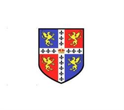 British International School