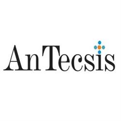 Antecsis