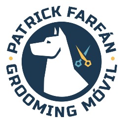 Patrick Farfán Grooming Móvil