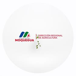 Dirección Regional de Agricultura - Moquegua