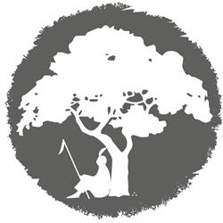 Banati Bosque