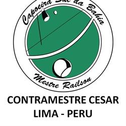 Escuela Cultural de Capoeira Sul Da Bahía