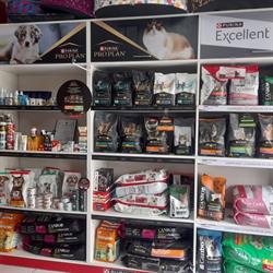 Dani Pets & Vet